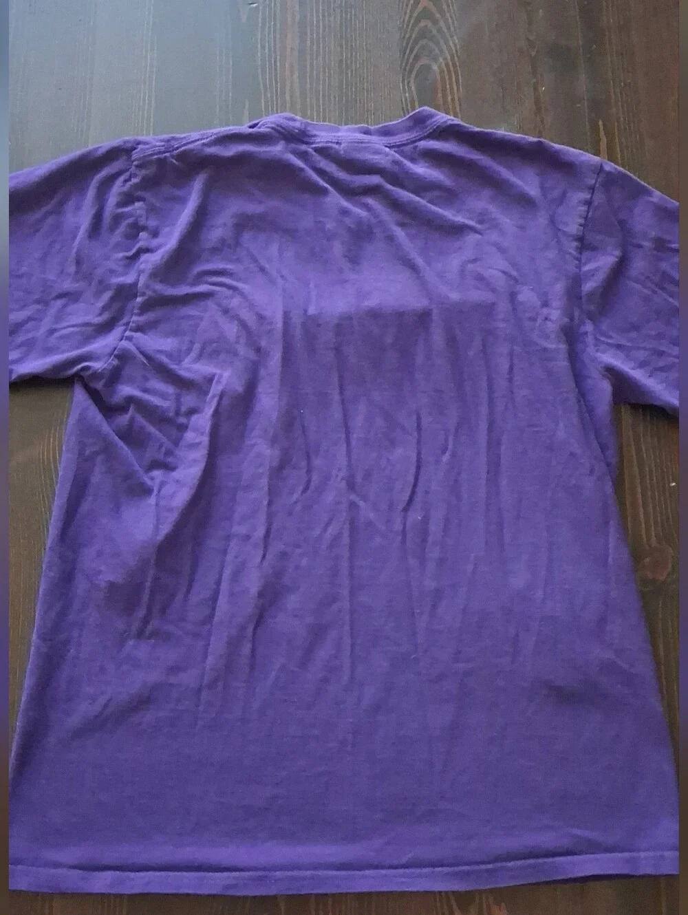 Just a Girl Who Loves Horses Purple Graphic Tee - Kids